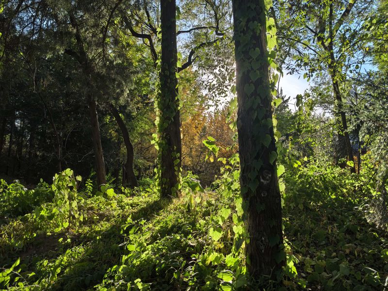 lmy 对 lmy 的表白 1