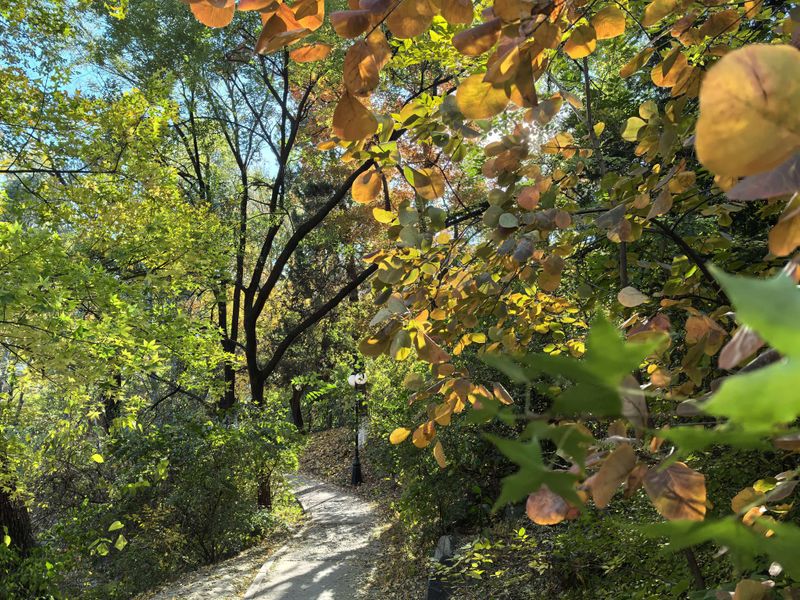 lmy 对 lmy 的表白 4