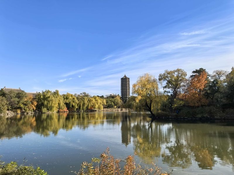 lmy 对 lmy 的表白 2