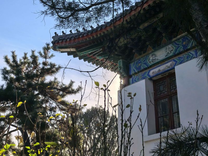 lmy 对 lmy 的表白 3